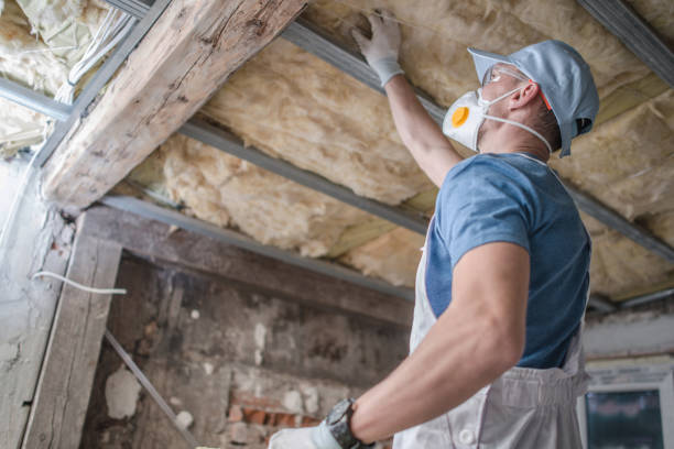 Best Insulation Materials and Products in Roan Mountain, TN
